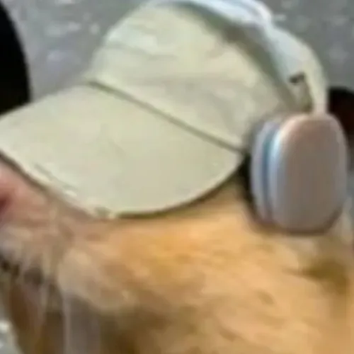 test222